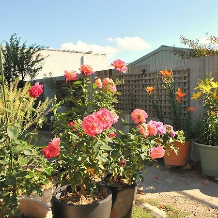 Cooma Cottage Exterior photo