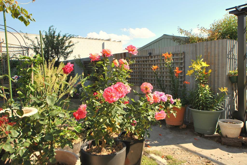 Cooma Cottage Exterior photo